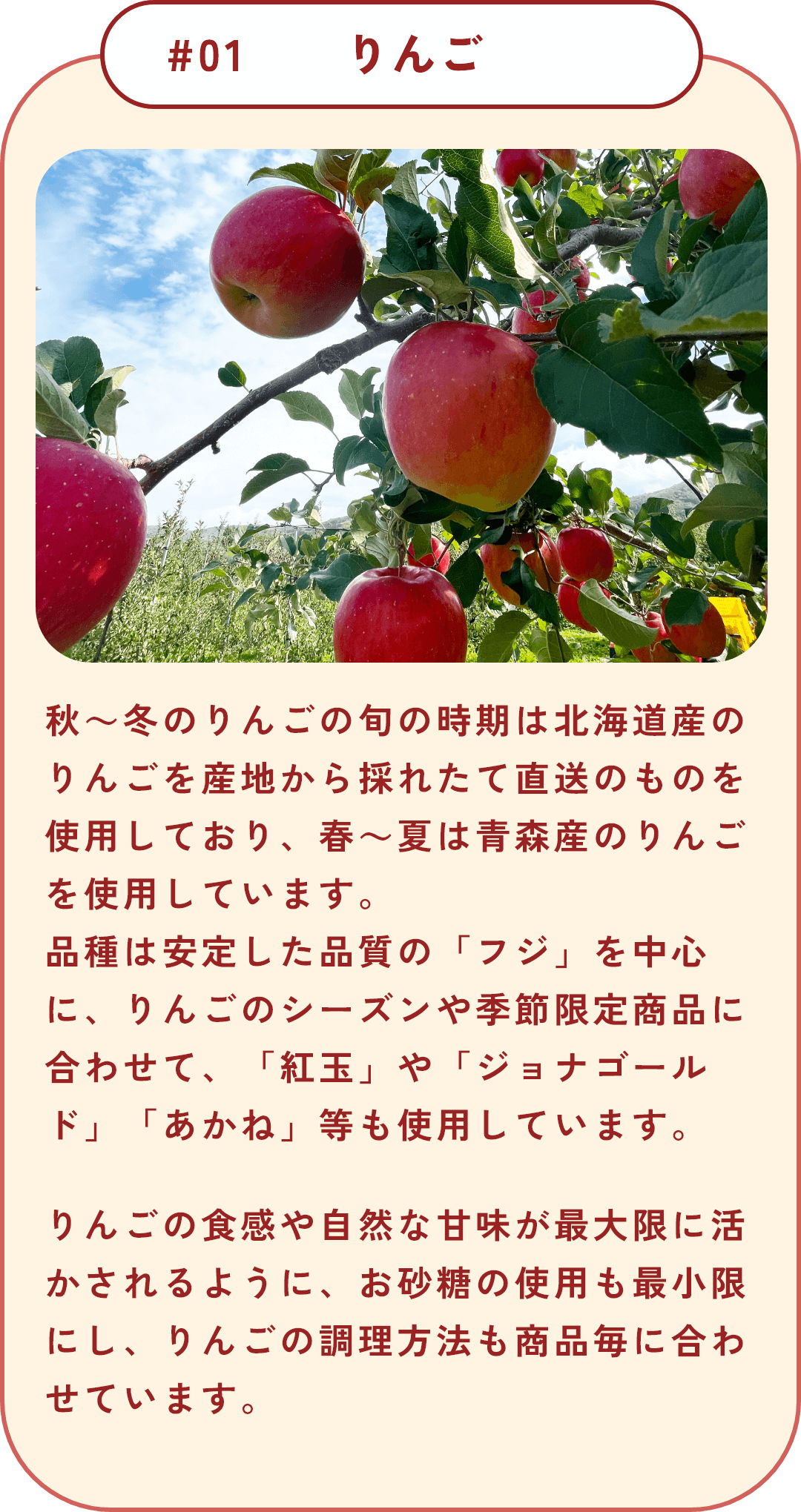 りんご｜北海道産｜青森産